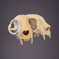 Darkmoon3D