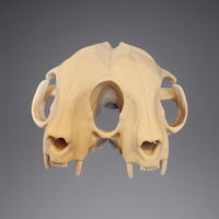 Darkmoon3D